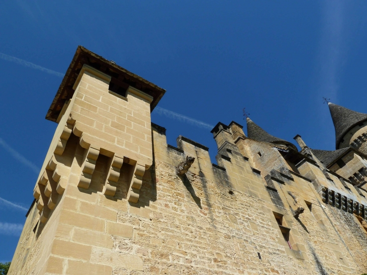 Le Château de Puymartin - Marquay