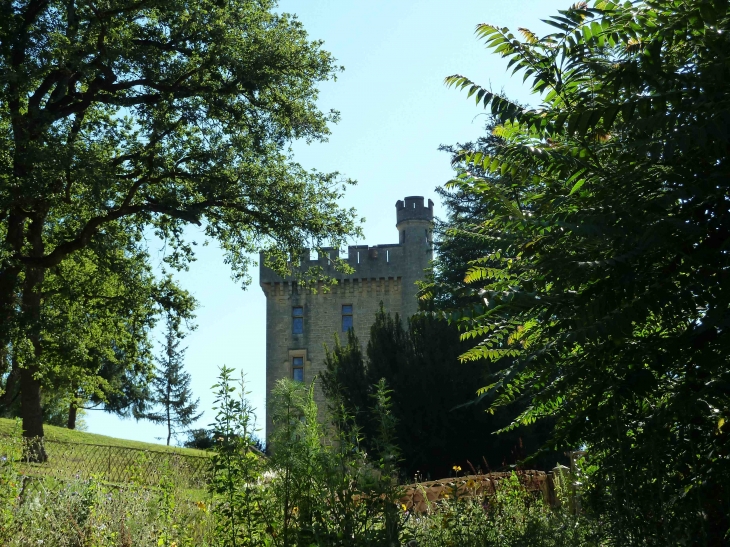 Le Château de Puymartin - Marquay