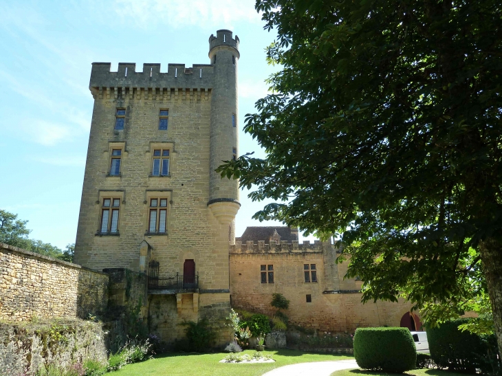 Le Château de Puymartin - Marquay