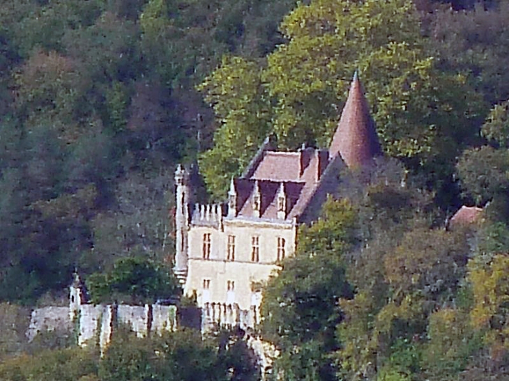 Vue sur le château de Puymartin - Marquay