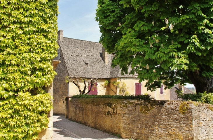 Le Village - Marquay