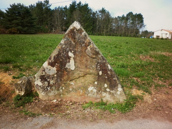 Le menhir de Lacoste ou rocher pointu. - Maurens