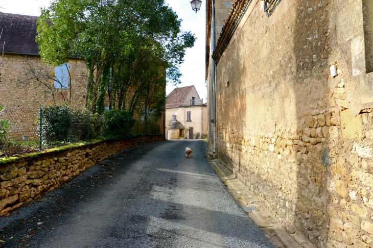 Le hameau de Grand Castang. - Mauzac-et-Grand-Castang