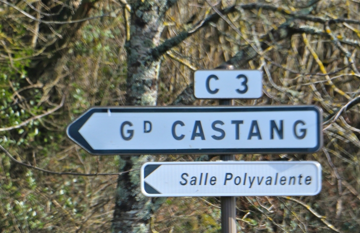 Autrefois : c'est en 1365 que l'on trouve pour la 1ère fois le nom de la paroisse de Grandis Castanea. - Mauzac-et-Grand-Castang