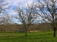 Champ de noyers . Hameau de Grand Castang.