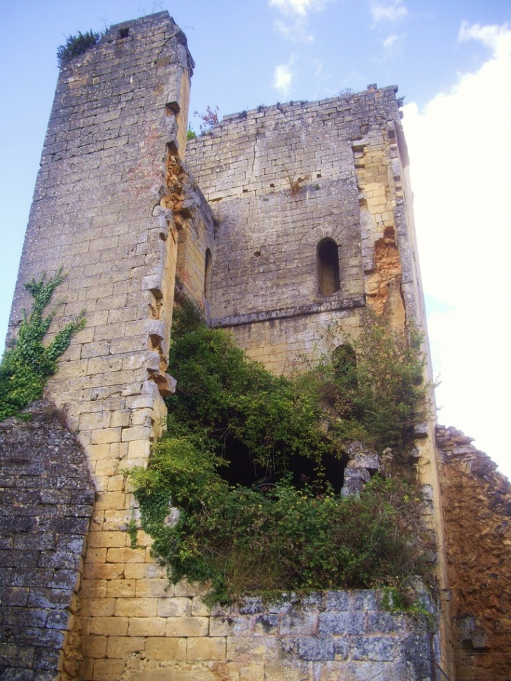 Ruines du donjon du château de Miremont XIIème (IMH). - Mauzens-et-Miremont