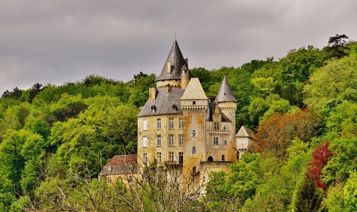 Château de la Roque - Meyrals