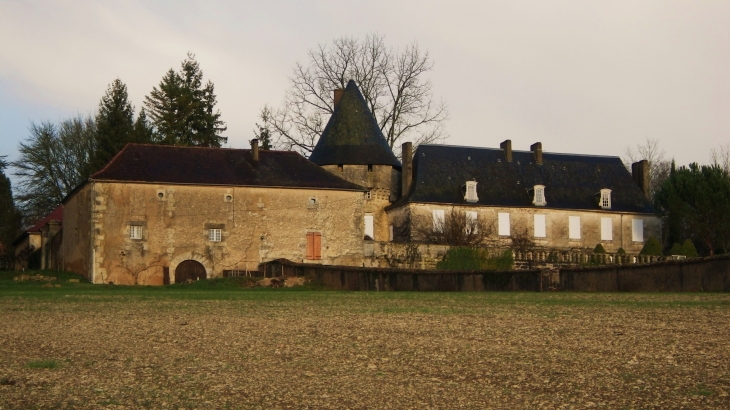 Château de la Baisse - Milhac-d'Auberoche