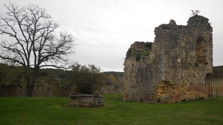 Ruines du château fort XIIIème (IMH). - Molières