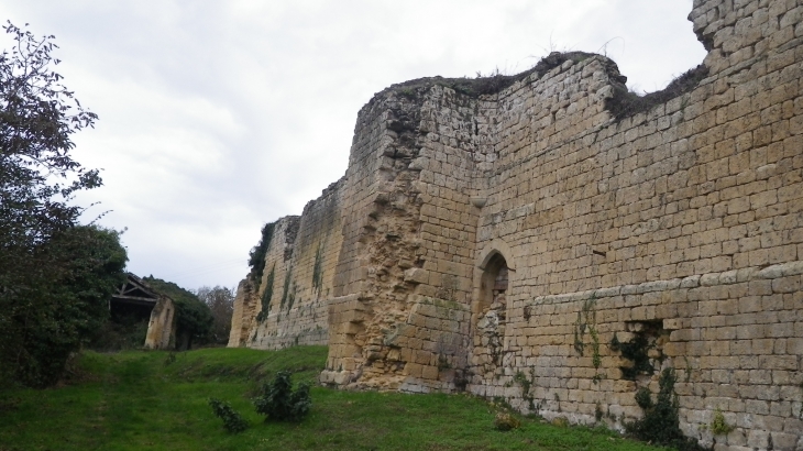 Ruines des remparts du château fort. - Molières