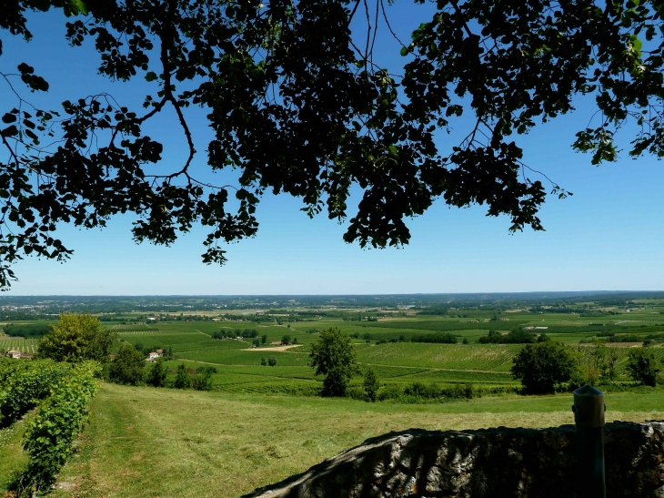 Les-vignes-du-vin-de-monbazillac-vue-de-la-terrasse-du-chateau