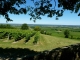 les-vignes-du-vin-de-monbazillac-vue-de-la-terrasse-du-chateau