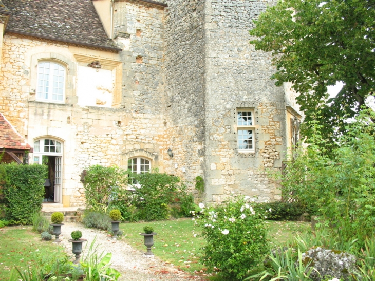 CHATEAUX GITE MONSAC