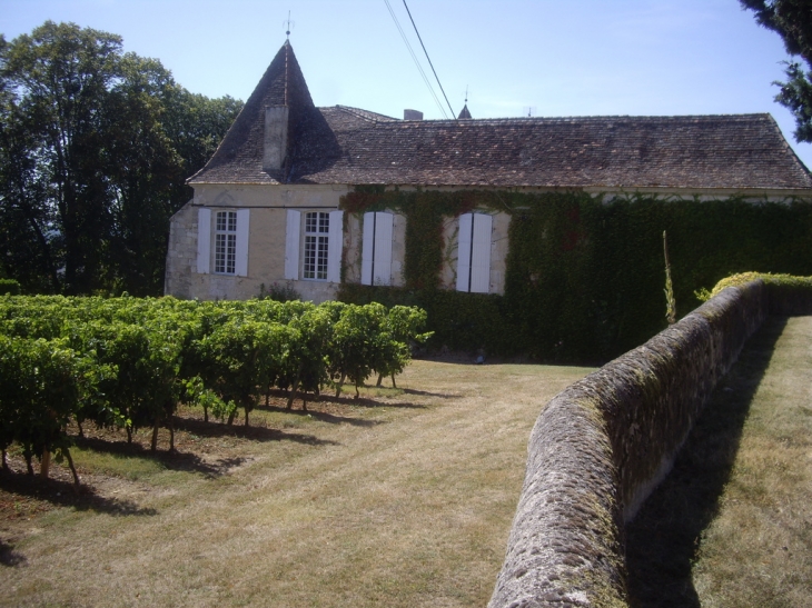 Château de Ségur 16/17ème. - Montazeau