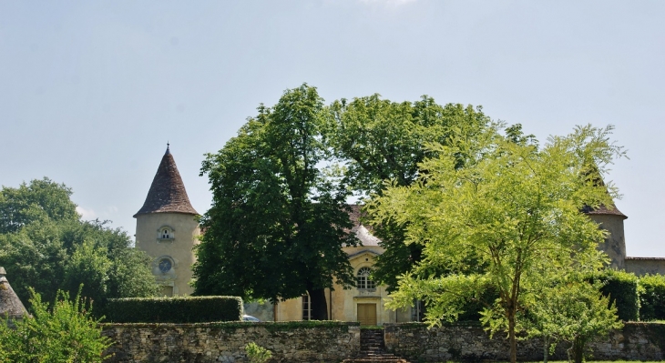 Château Matecoulon - Montpeyroux