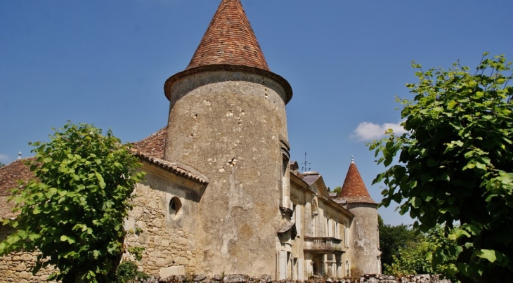 Château Matecoulon - Montpeyroux