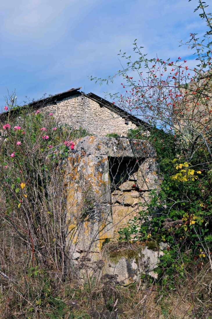 Un vieux puits - Montpeyroux