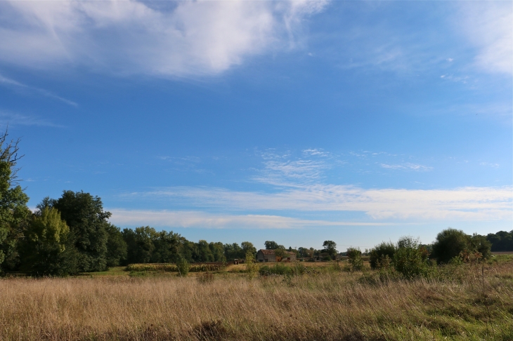 Aux alentours. - Montpeyroux