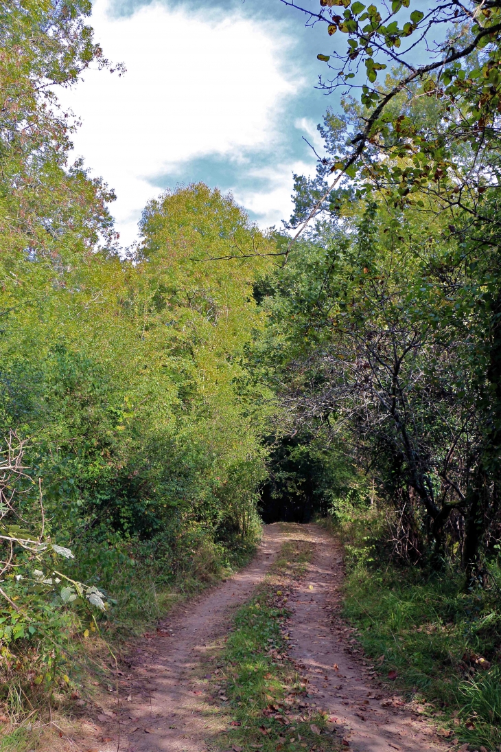 Aux alentours - Montpeyroux