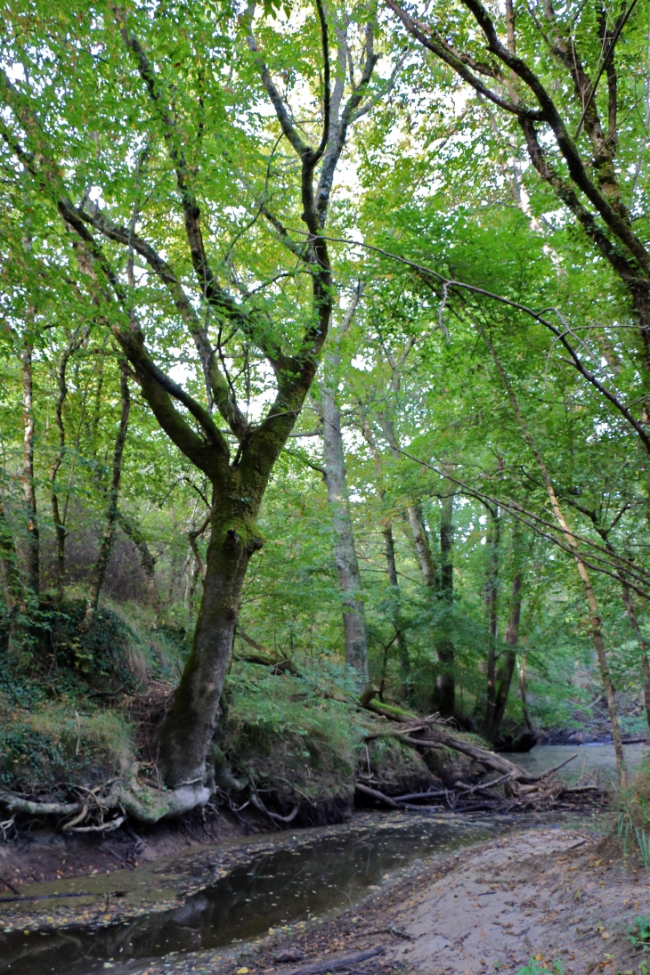 Aux alentours. - Montpeyroux