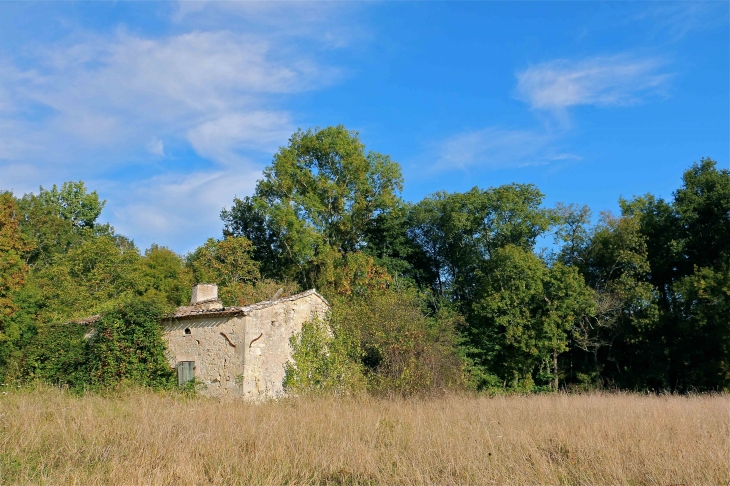 Aux alentours. - Montpeyroux