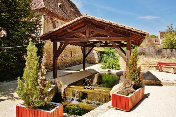 Le Lavoir - Mouzens