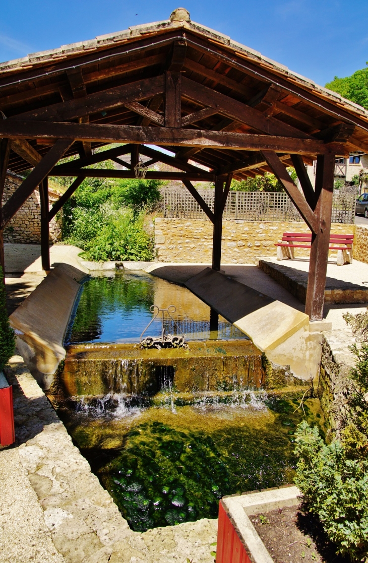 Le Lavoir - Mouzens