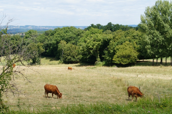 Aux alentours - Nailhac