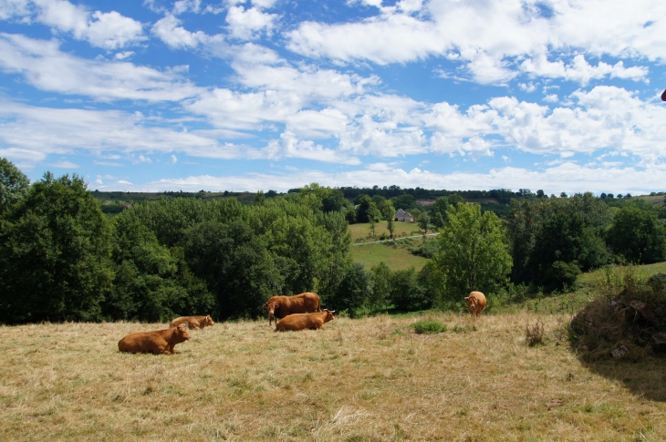 Aux alentours. - Nailhac