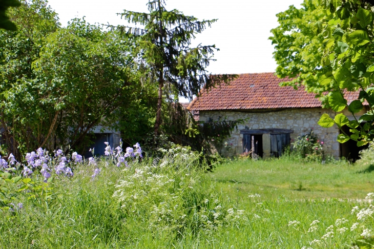 Dans le village. - Naussannes