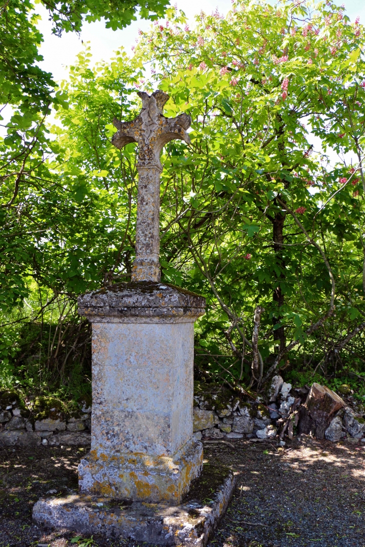 Croix de chemin, place de la Mairie. - Naussannes