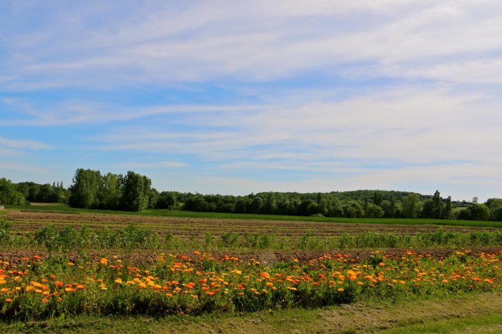 Aux alentours. - Nojals-et-Clotte