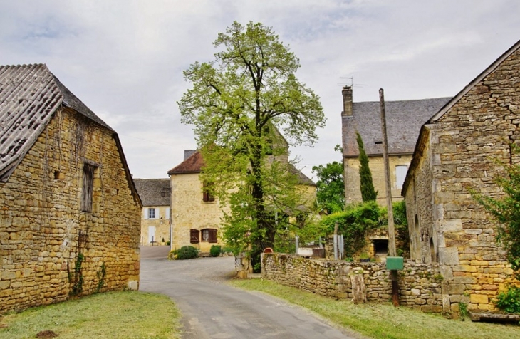 Le Village - Paulin