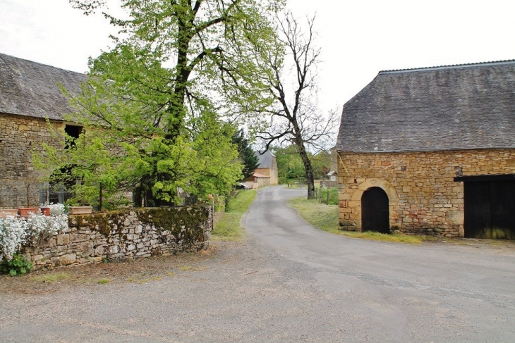 Le Village - Paulin