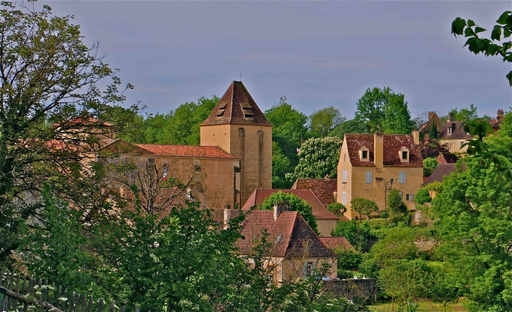 Eglise Saint Martial - Paunat