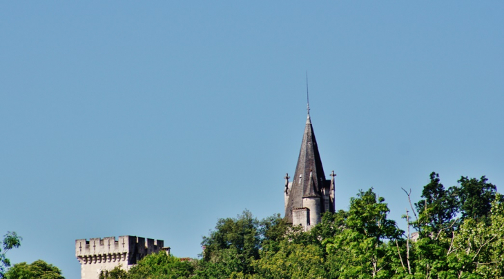 Château  - Paussac-et-Saint-Vivien