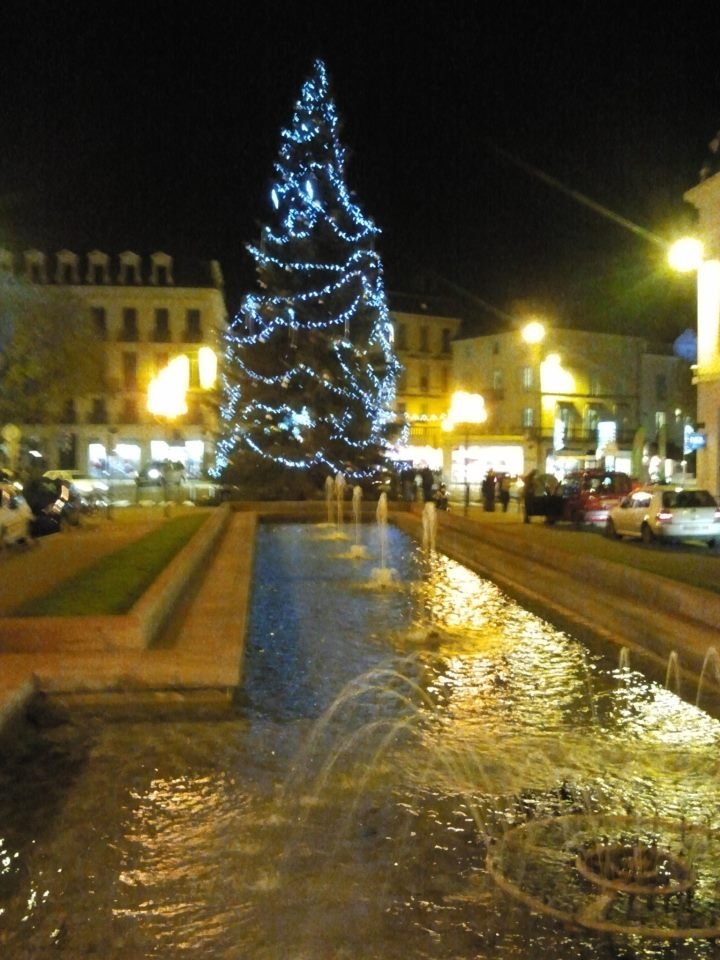 Sapin de Noêl 2012 (France Bleu Périgord) - Périgueux