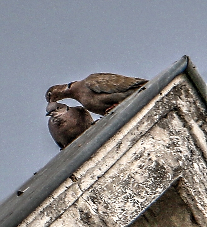  - Périgueux