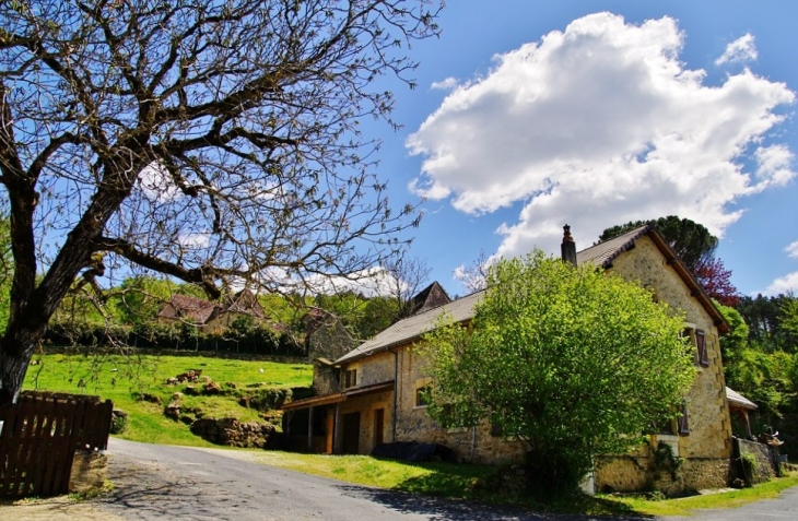 Le Village - Peyzac-le-Moustier