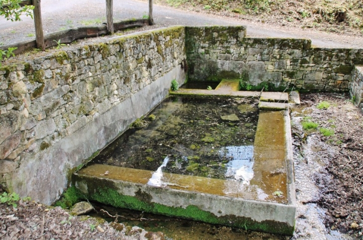 Le Lavoir - Peyzac-le-Moustier