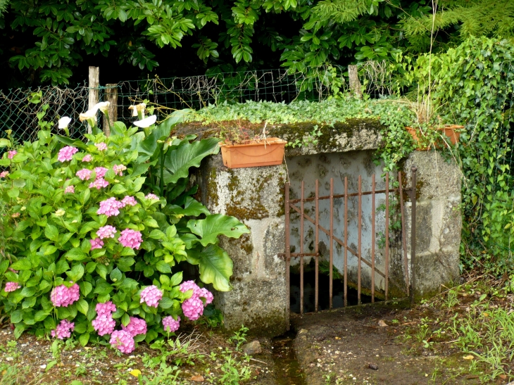 Aux alentours - Piégut-Pluviers