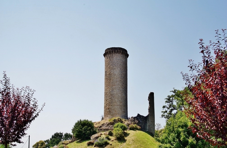 La Tour - Piégut-Pluviers