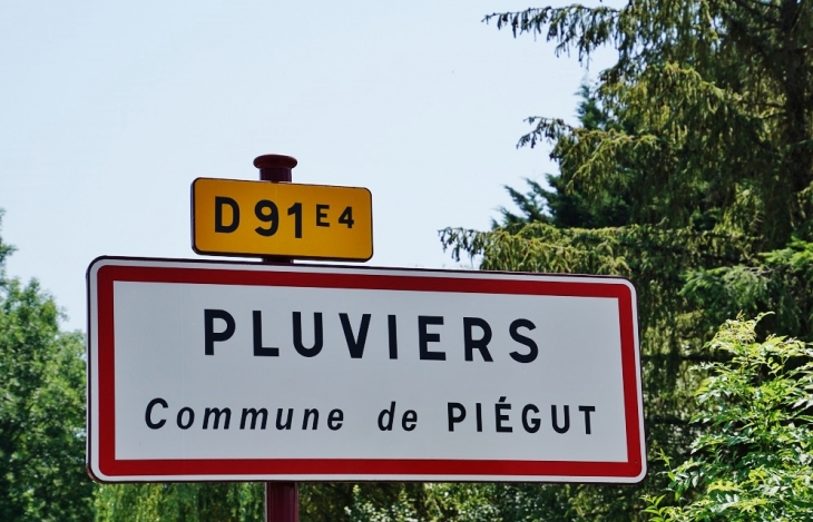  - Piégut-Pluviers