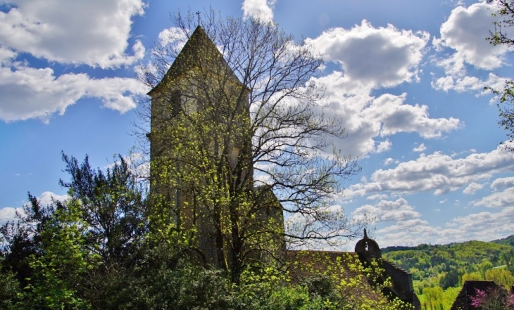 *église Saint-Blaise - Plazac