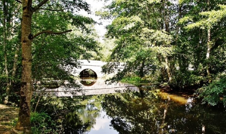  pont sur La Dronne - Quinsac