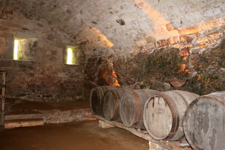 Le château de Bridoire : la cave - Ribagnac