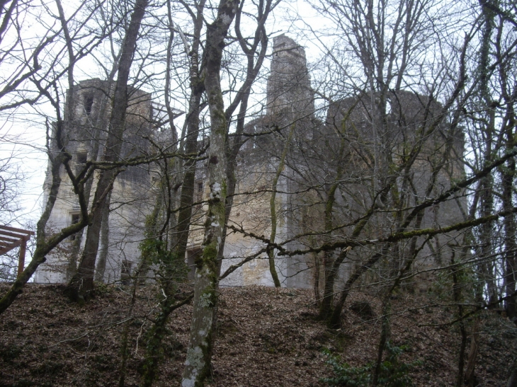 Ruines du château de l'Herm 15ème (IMH). - Rouffignac-Saint-Cernin-de-Reilhac