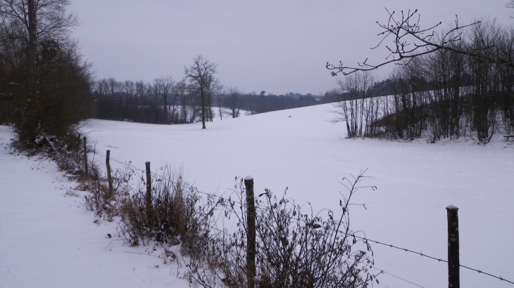 Paysage sous la neige à Pataunelle. - Rouffignac-Saint-Cernin-de-Reilhac