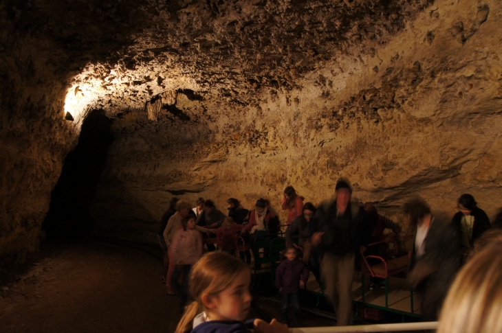 Dans la grotte de Rouffignac. - Rouffignac-Saint-Cernin-de-Reilhac