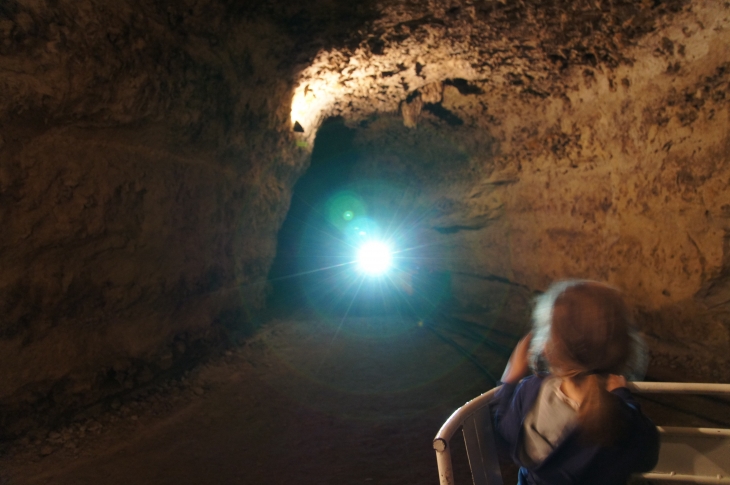 Dans la grotte de Rouffignac. - Rouffignac-Saint-Cernin-de-Reilhac